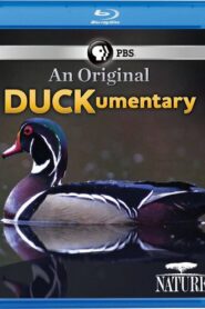 PBS Nature – An Original DUCKumentary 2012 one on netflix