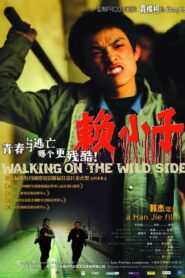 Walking on the Wild Side 2006 one on netflix