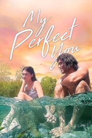 My Perfect You 2018 one on netflix