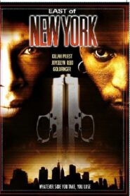 East of New York 2005 one on netflix