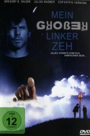 Mein großer linker Zeh 2011 one on netflix