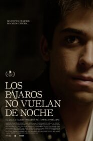Birds Don’t Fly at Night 2020 one on netflix