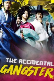 The Accidental Gangster 2008 one on netflix