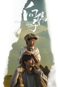 Sun Flower 2018 one on netflix