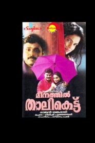 Meenathil Thalikettu 1998 one on netflix