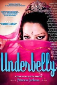 Underbelly 2008 one on netflix