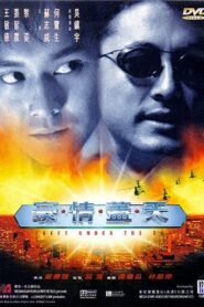 Theft Under the Sun 1997 one on netflix