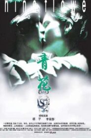 China Flower 2005 one on netflix