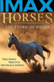 Horses: The Story of Equus 2002 one on netflix