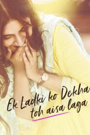 Ek Ladki Ko Dekha Toh Aisa Laga 2019 one on netflix