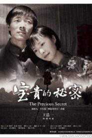 宝贵的秘密 2009 one on netflix