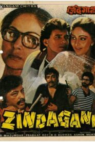 Zindagani 1986 one on netflix