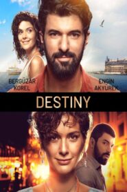 Destiny 2019 one on netflix