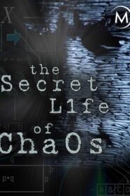 The Secret Life of Chaos 2010 one on netflix