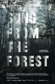 Song from the Forest 2014 one on netflix