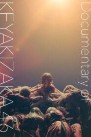 Our Lies and Truths: Documentary of Keyakizaka46 2020 one on netflix
