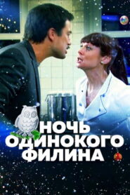 Night of the Lonely Owl 2012 one on netflix