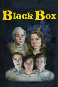 Black Box 2013 one on netflix