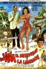¡Qué viva el merengue y la lambada! 1990 one on netflix