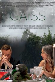 Gaiss 2024 one on netflix