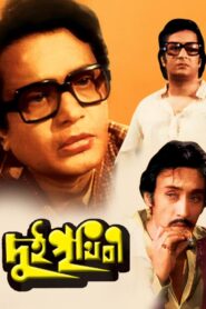 Dui Prithibi 1980 one on netflix