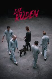 Die Rüden 2020 one on netflix