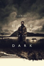 Coming Home in the Dark 2021 one on netflix