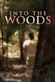 Into the Woods 2008 one on netflix