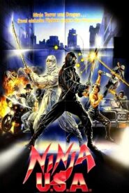 Ninja USA 1985 one on netflix