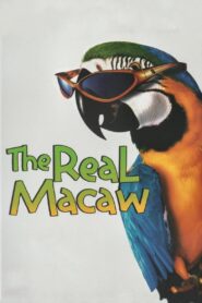 The Real Macaw 1998 one on netflix