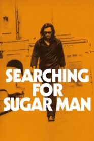 Searching for Sugar Man 2012 one on netflix