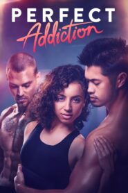 Perfect Addiction 2023 one on netflix