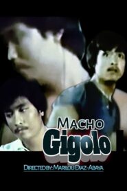 Macho Gigolo 1981 one on netflix