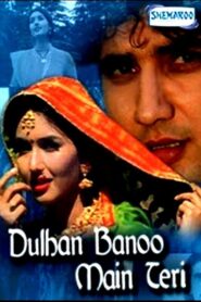 Dulhan Banoo Main Teri 1999 one on netflix
