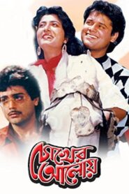 Chokher Aloye 1989 one on netflix