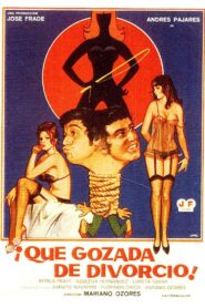 ¡Qué gozada de divorcio! 1981 one on netflix