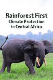 Rainforest First: Climate Protection in Central Africa 2022 one on netflix
