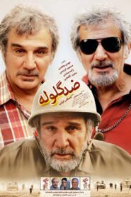 Bulletproof 2012 one on netflix