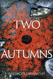 Two Autumns: Andy Goldsworthy 1992 one on netflix