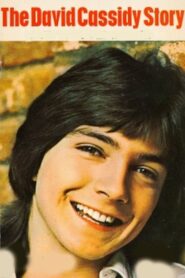 The David Cassidy Story 2000 one on netflix