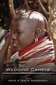 The Wedding Camels 1980 one on netflix