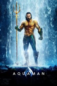 Aquaman 2018 one on netflix