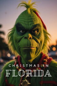 Christmas In Florida 2021 one on netflix