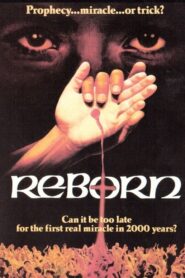 Reborn 1981 one on netflix