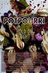 Potpourri 2011 one on netflix