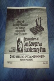 The Adventures of Con Sawyer and Hucklemary Finn 1985 one on netflix
