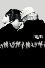 Tribute 1980 one on netflix