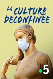 La culture déconfinée 2020 one on netflix