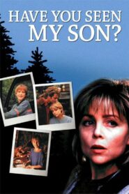 Have You Seen My Son 1996 one on netflix