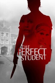 The Perfect Student 2011 one on netflix